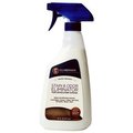 Granite Gold 16OZ Stain Eliminator 462600